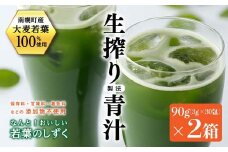 北海道南幌産 青汁 なんと！おいしい若葉のしずく 2箱入り NP1-225