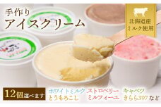 北海道産 南幌町 手作りアイスクリーム 120ml×12個セット (お好み詰め合わせ) NP1-024