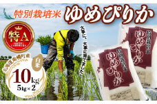 特別栽培米 ゆめぴりか（白米）5kg×2袋 令和6年産 2024年10月発送開始 今摺り米 NP1-408