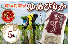 北海道産 特別栽培米 ゆめぴりか 白米 5kg 令和7年産 2025年10月発送開始 今摺り米 南幌町 NP1-242