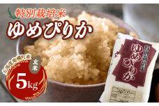 特別栽培米 ゆめぴりか（玄米）5kg 令和6年産 2024年10月発送 今摺り米 NP1-243