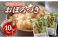 特別栽培米 おぼろづき（玄米）5kg×2袋 令和6年産 2024年10月発送開始 今摺り米 NP1-245