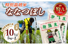 特別栽培米 ななつぼし（白米）5kg×2袋 令和6年産 2024年10月発送開始 今摺り米 NP1-248