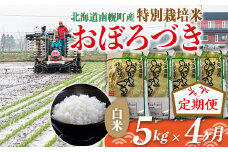 《定期便》特別栽培米 おぼろづき（白米）5kg×4ヵ月 令和6年産 今摺り米 NP1-261