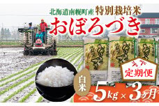 《定期便》特別栽培米 おぼろづき（白米）5kg×3ヵ月 令和6年産 今摺り米 NP1-258