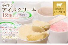 北海道産 南幌町 手作りアイスクリーム 120ml×12個セット (おまかせ詰め合わせ) NP1-023
