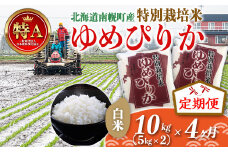 《定期便》特別栽培米 ゆめぴりか（白米）5kg×2袋×4ヵ月令和6年産 今摺り米 NP1-413