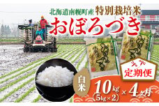 《定期便》特別栽培米 おぼろづき（白米）5kg×2袋×4ヵ月 令和6年産 今摺り米 NP1-414