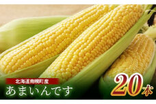 令和7年発送 北海道産 とうもろこし あまいんです20本 朝採れ 一番果 産地直送 数量限定 期間限定 NP1-173