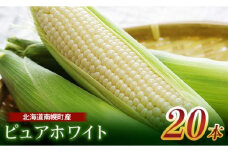 令和7年発送 北海道産 とうもろこし ピュアホワイト20本 朝採れ 一番果 産地直送 数量限定 期間限定 NP1-172