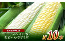 令和7年発送 北海道産 とうもろこし 食べ比べ ピュアホワイト5本＆あまいんです5本 朝採れ 一番果 産地直送 数量限定 期間限定 NP1-174