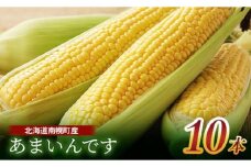 令和7年発送 北海道産 とうもろこし あまいんです10本  朝採れ 一番果 産地直送 数量限定 期間限定 NP1-176