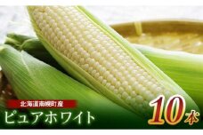 令和7年発送 北海道産 とうもろこし ピュアホワイト10本 朝採り 生食 産地直送 数量限定 期間限定 NP1-175