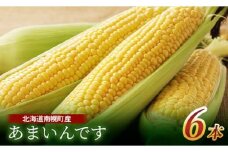 令和7年発送 北海道産 とうもろこし あまいんです6本 朝採れ 一番果 産地直送 数量限定 期間限定 NP1-179