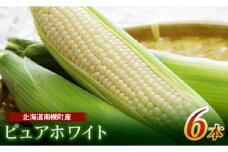 令和7年発送 北海道産 とうもろこし ピュアホワイト6本 朝採れ 一番果 産地直送 数量限定 期間限定 NP1-178