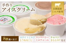 北海道産 南幌町 手作りアイスクリーム 120ml×8個セット (お好み詰め合わせ) NP1-293