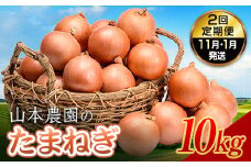 北海道産 たまねぎ 「山本農園のたまねぎ」L〜L大サイズ前後 10kg　2回定期便(11月・1月発送) 南幌町産 玉ねぎ タマネギ 玉葱 NP1-300