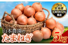 北海道産 南幌町産 たまねぎ 「山本農園のたまねぎ」L〜L大サイズ前後 5kg 3回定期便（10月・11月・12月発送） 送料無料 玉ねぎ タマネギ 玉葱 NP1-349