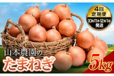 北海道産 南幌町産 たまねぎ 「山本農園のたまねぎ」L〜L大サイズ前後 5kg 4回定期便（10月・11月・12月・1月発送） 送料無料 玉ねぎ タマネギ 玉葱 NP1-350