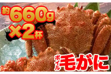 【訳あり】北海道産 冷凍ボイル毛がに（約660g×2杯）かに 蟹 かにみそ 小分け 毛蟹 海産物 魚介類 水産物応援 水産物支援 NP1-315