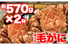 【訳あり】北海道産 冷凍ボイル毛がに（約570g×2杯）かに 蟹 かにみそ 小分け 毛蟹 海産物 魚介類 水産物応援 水産物支援 年内発送 NP1-316
