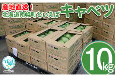 北海道南幌町産 キャベツ 10kg（6～9玉）7月中旬より発送 JAなんぽろ直送 NP1-339