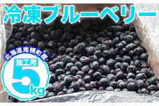 北海道南幌町産 冷凍ブルーベリー 加工用 5kg 8月上旬より発送 JAなんぽろ直送 NP1-345