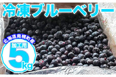 北海道南幌町産 冷凍ブルーベリー 加工用 5kg 8月上旬より発送 JAなんぽろ直送 NP1-345