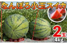 【8月発送】北海道産 小玉スイカ 2玉 約4kg なんぽろ小玉すいか 令和7年度産 8月発送開始 南幌町 NP1-348