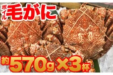 【訳あり】北海道産 冷凍ボイル毛がに（約570g×3杯）1.71kg かに 蟹 かにみそ 小分け 毛蟹 海産物 魚介類 水産物応援 水産物支援 年内発送 NP1-438