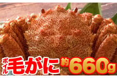 【訳あり】北海道産 冷凍ボイル毛がに（約660g）かに 蟹 かにみそ 小分け 毛蟹 海産物 魚介類 水産物応援 水産物支援 NP1-437