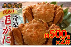 《訳あり》北海道産 冷凍ボイル毛がに 2尾1kg前後（500g前後×2杯 合計約1kg） NP1-459