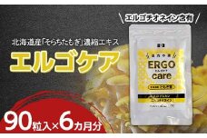 エルゴケア 90粒入×6袋(6カ月分) エルゴチオネイン βグルカン含有 タモギダケ タモギ茸 たもぎ茸 NP1-472