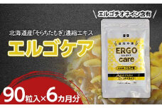 エルゴケア 90粒入×6袋(6カ月分) エルゴチオネイン βグルカン含有 タモギダケ タモギ茸 たもぎ茸 NP1-472