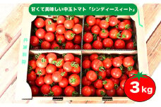 江口農園　シンディースイート　3kg