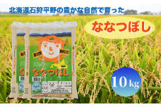 北海道奈井江町　ななつぼし　10kg
