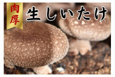 就労支援センター　すまっしゅ　肉厚生しいたけ
