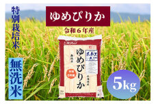 北海道奈井江町　特別栽培米　ゆめぴりか【無洗米】5kg
