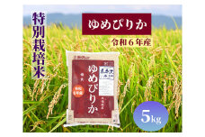 北海道奈井江町　特別栽培米　ゆめぴりか　5kg