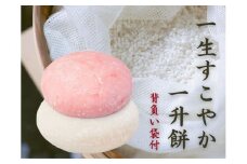 味わい手作り工房土梨夢　一生すこやか一升餅（背負い袋付）