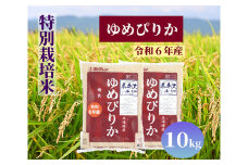 北海道奈井江町　特別栽培米　ゆめぴりか　10kg