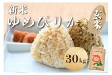 【新米予約】北海道奈井江町　ゆめぴりか　玄米　30kg