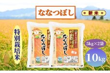 【新米予約】北海道奈井江町　特別栽培米　ななつぼし　10kg