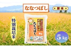 【新米予約】北海道奈井江町　特別栽培米　ななつぼし　5kg