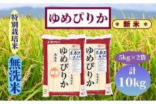 【新米予約】北海道奈井江町　特別栽培米　ゆめぴりか【無洗米】　10kg