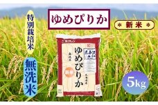 【新米予約】北海道奈井江町　特別栽培米　ゆめぴりか【無洗米】　5kg
