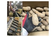 B38　じゃがいも(メークイン)　M・Lサイズ混合　17kg