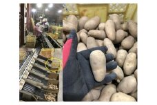 B37　じゃがいも(メークイン)　Sサイズ　20kg