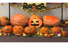 C24　ハロウィンかぼちゃ　