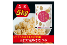 TT11　ゆきむつみ　5kg